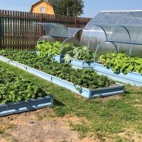 Оцинкованные грядки 20 см
